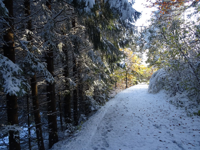 prime escursioni sulla neve....autunno  2019